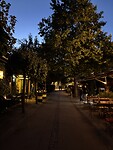 IMG_3701