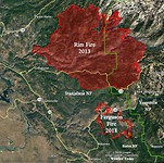 ferguson fire
