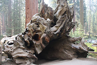 Kings Canyon