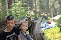 Kings Canyon
