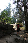 Kings Canyon
