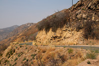 Sequoia National Forrest