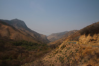 Sequoia National Forrest