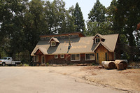 Sequoia National Forrest