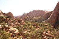 Zion NP