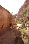 Zion NP
