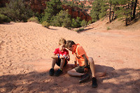 Zion NP