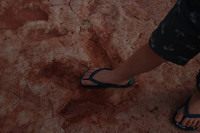 Moenkopi Dinosaur Tracks