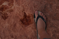 Moenkopi Dinosaur Tracks