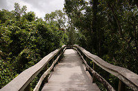 Everglades NP