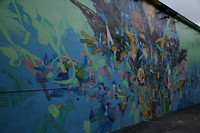 Wynwood Walls