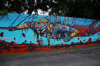 Wynwood Walls