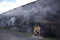 Wynwood Walls