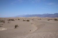 Sand Dunes