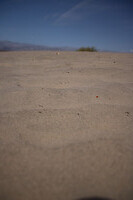 More Sand Dunes