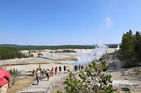 Norris Geyser Basin