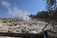Steamboat Geyser