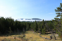 Uitzicht op Norris Geyser Basin