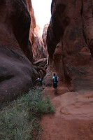 Fiery Furnace