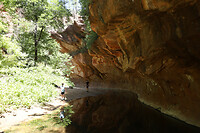 Subway van West Fork Trail
