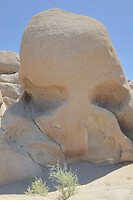 Scull rock