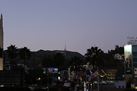 HOLLYWOOD