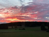 IMG_4987