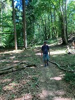 boswandeling op een berg