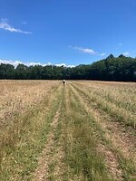 boeren-fietspad