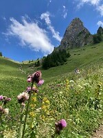 hike with a view