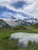 mooi!