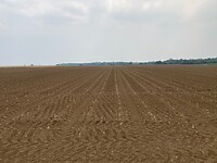 plantjes