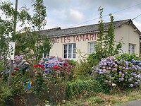 Camping Les Tamaris