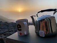 tea with no view