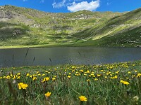 bergmeer