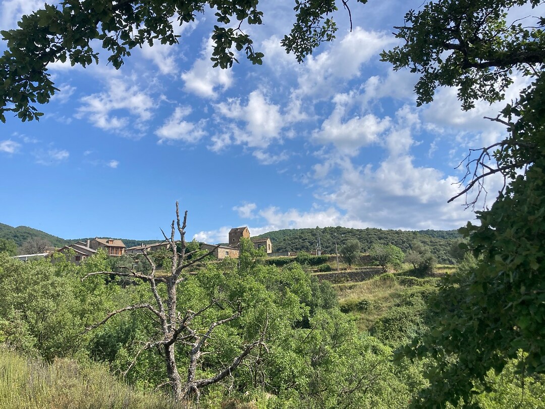 mooie hike