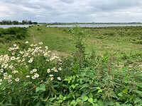 prachtige omgeving op de grens NE-BE