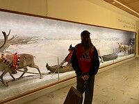 museum Tromsø