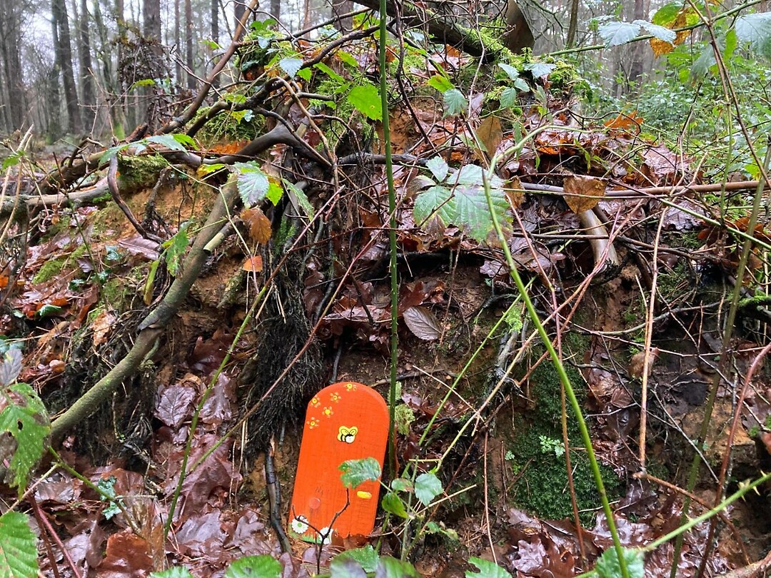 kabouters in het bos