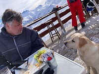 De bedelende hond