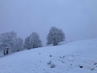 Het sneeuwt weer