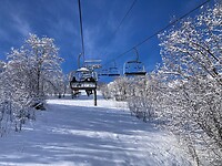 die sneeuw op die bomen is mooi