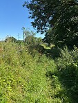 ruig fietspaadje