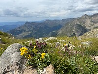 bergtoppen overal