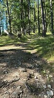 start van de hike op Mount Willem