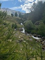 beekje