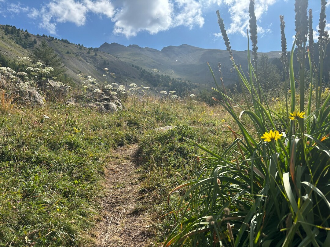 paadje
