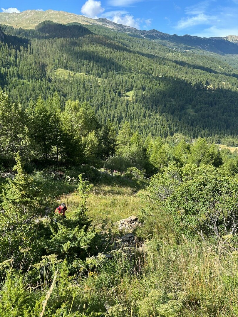 mooie hike