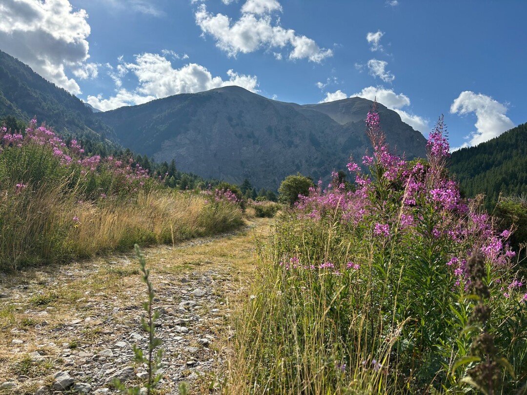 prachtig hier