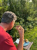 zon, boek, goed voer